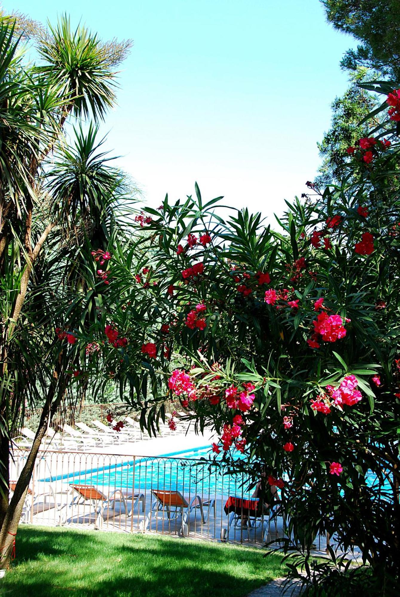 Hotel Les Mazets Des Roches ตาฮาสคอง ภายนอก รูปภาพ
